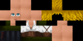 /album/hd-skinek/sp-nc3661-png/